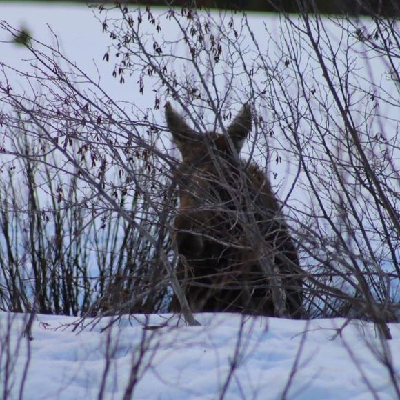 Meet your Posher, Michelle - Picture 1 of 1